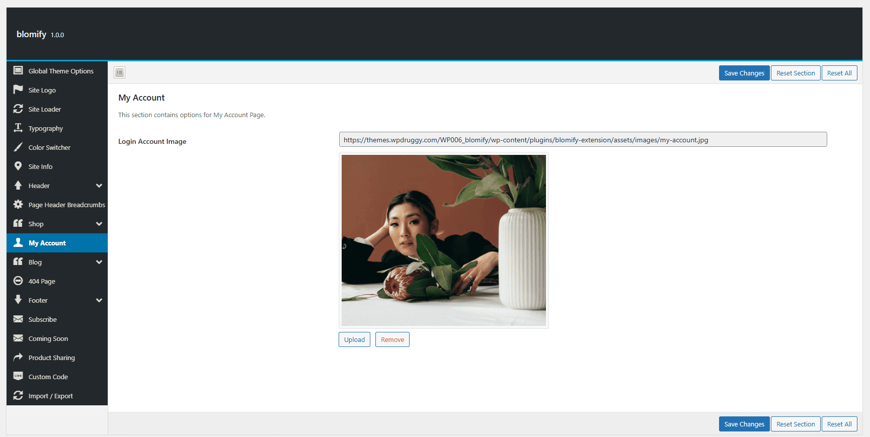 documentation